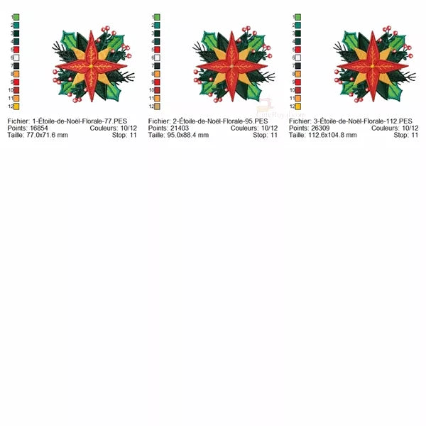 Info-tailles-Etoile-de-Noel-Florale-Motifs-de-Broderie-Machine