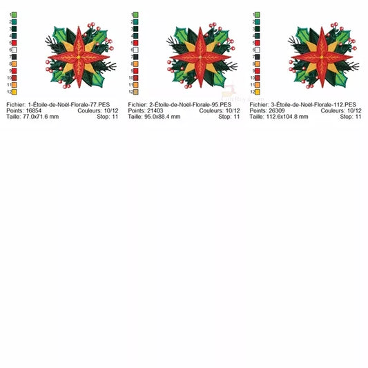 Info-tailles-Etoile-de-Noel-Florale-Motifs-de-Broderie-Machine
